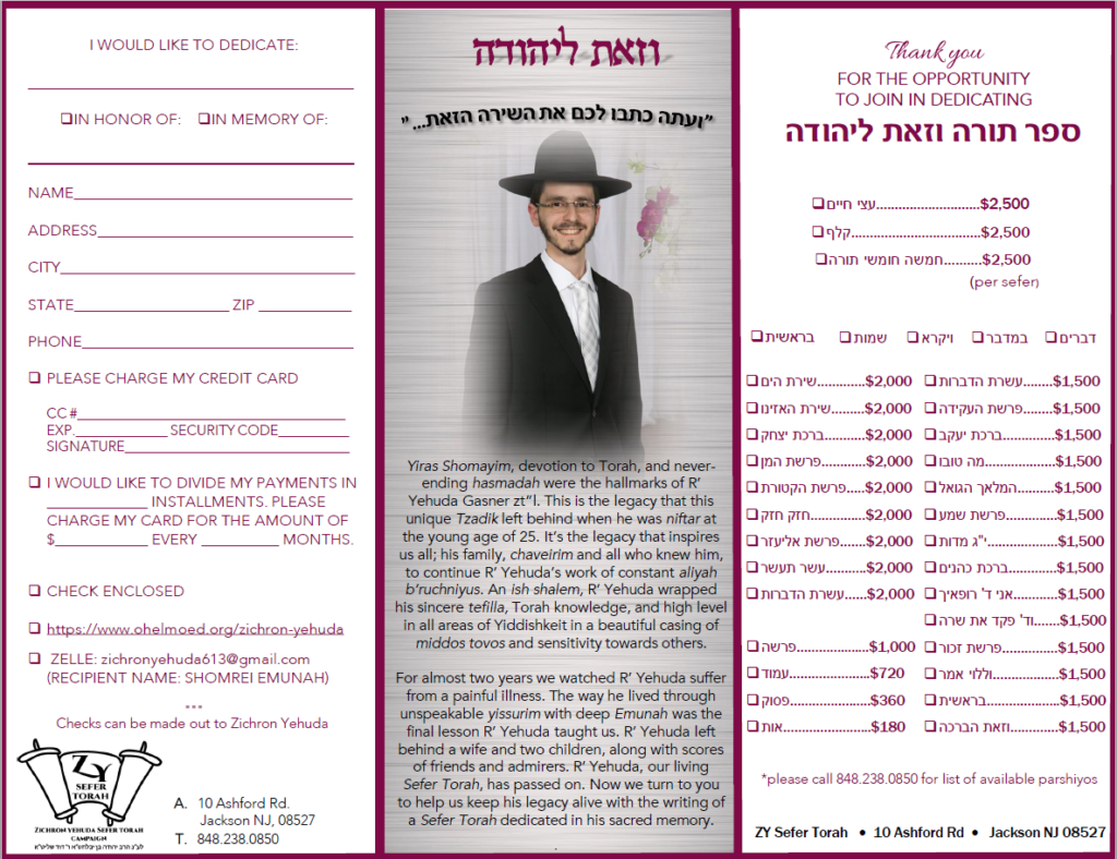 Torah Campaign PDF